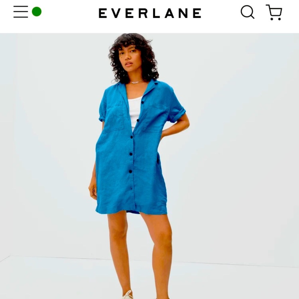 NWT Everlane BLUE Workwear Linen Dress